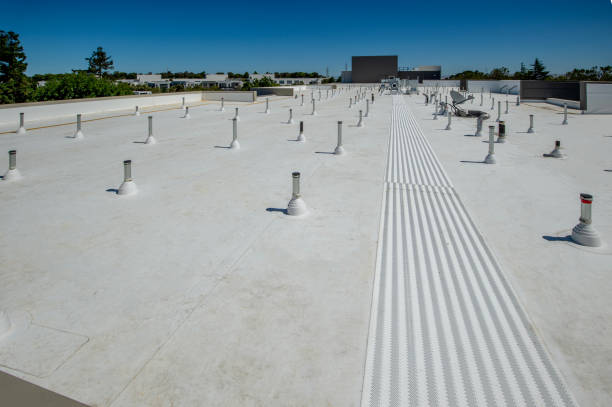 Best Asphalt Shingle Roofing  in Fort Polk North, LA
